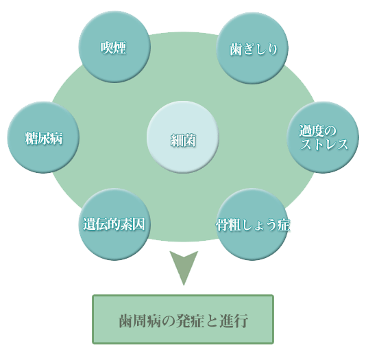 歯周病の原因